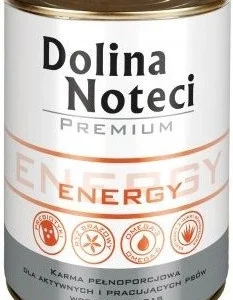 Dolina Noteci Premium Energy 400g