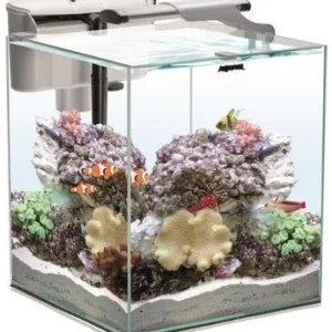 AQUAEL Zestaw Nano Reef Duo 35 Biały 2.0